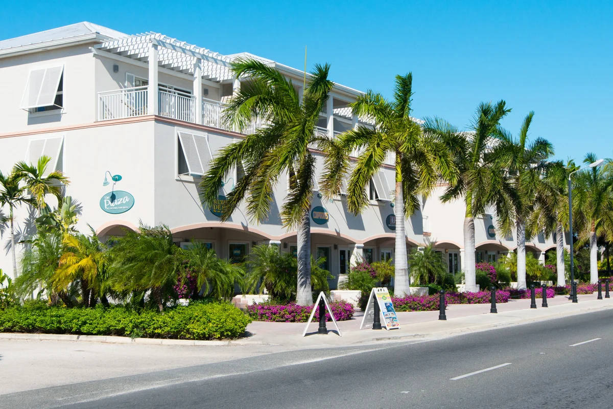 The Plaza: image 1
